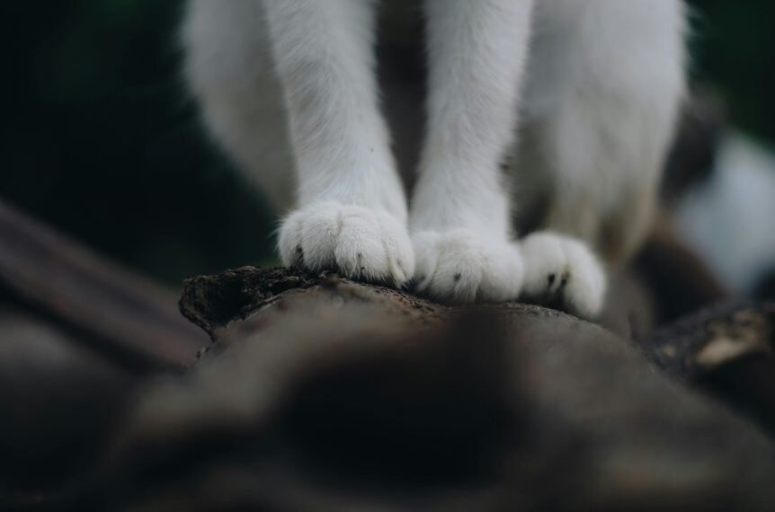 operational footprint classification log