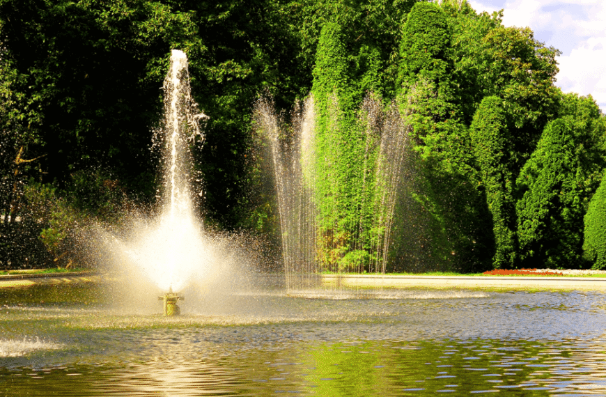 Pond health in the backyard is often overlooked, leading to a declining ecosystem and increased algae